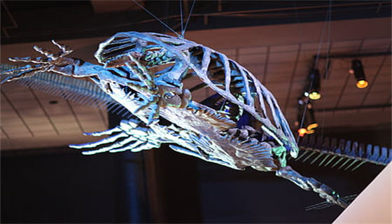 城市燃?xì)獍踩芾硪?guī)定有哪些要點(diǎn)？