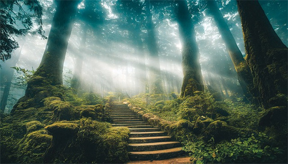 城市燃?xì)獍踩芾硪?guī)定對(duì)居民生活有何影響？