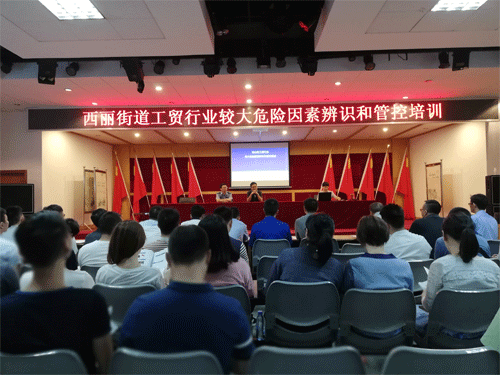 西麗街道工貿(mào)行業(yè)較大危險因素辨識和管控培訓(xùn)